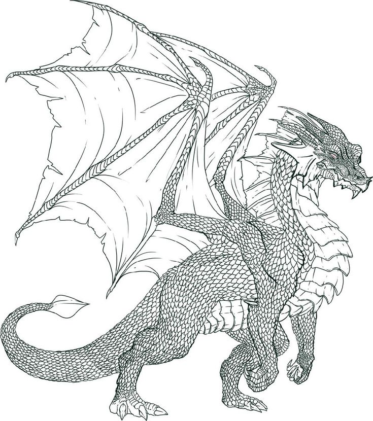 Free realistic dragon coloring pages pdf