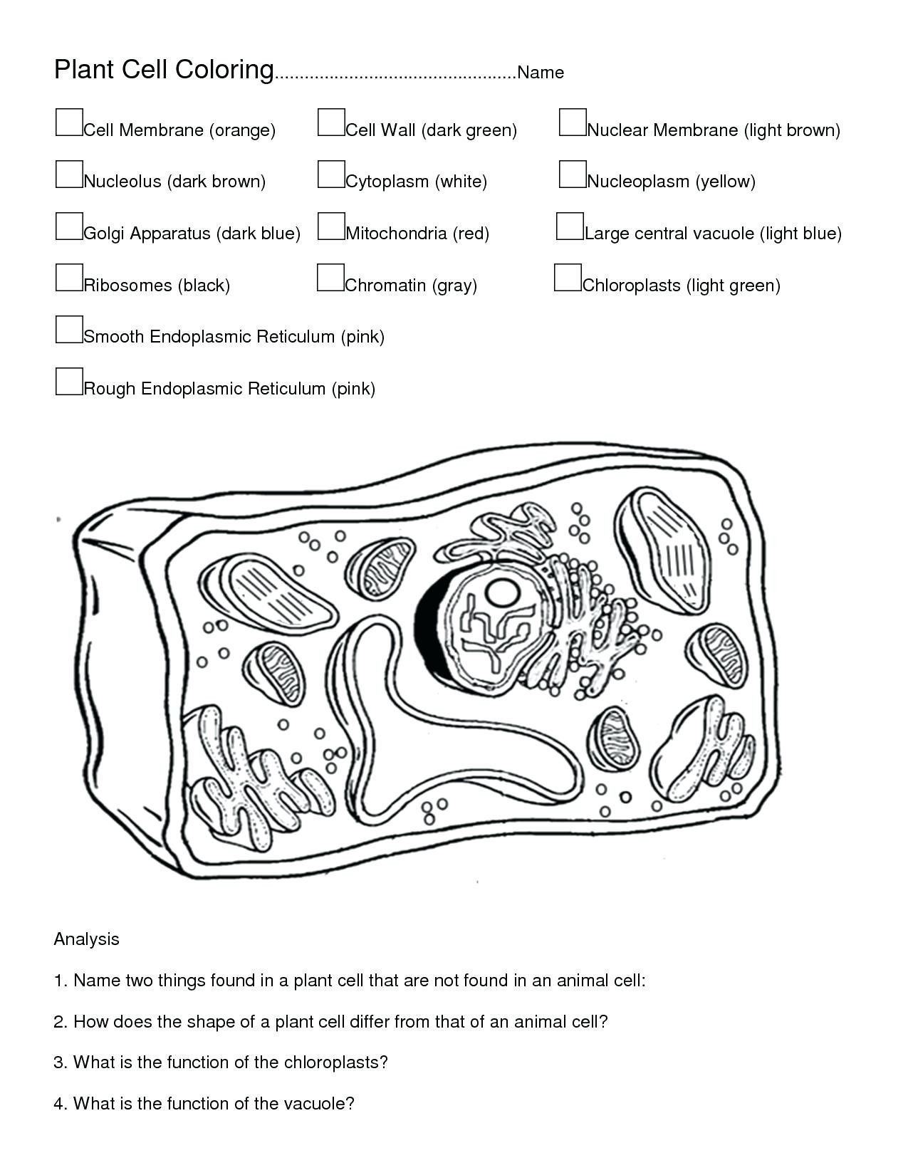 Animal cell coloring page â from the thousands of photos on