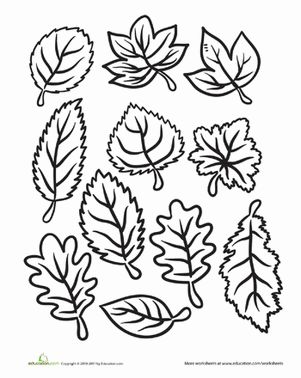 Color the fall leaves worksheet education fall leaves coloring pages kindergarten fall worksheets fall kindergarten