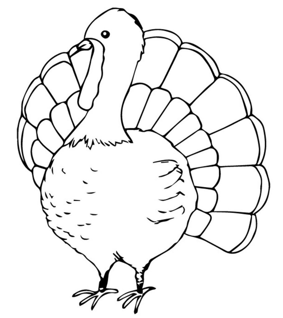 Top turkey coloring pages for toddlers