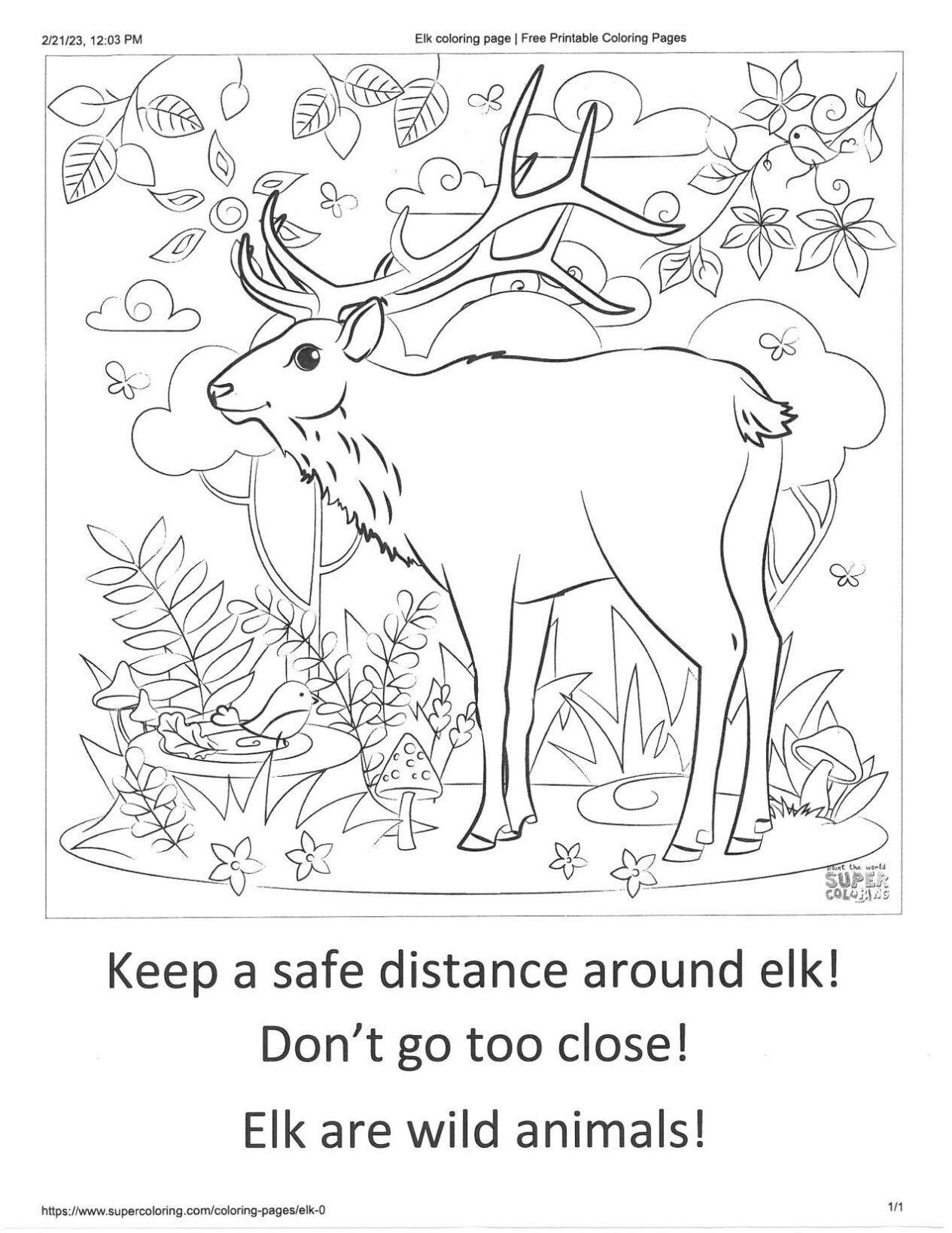 Elk coloring pages