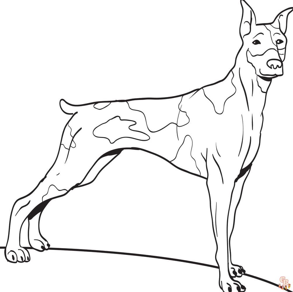 Prinatble doberman coloring pages free for kids and adults