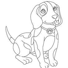 Doberman coloring pages