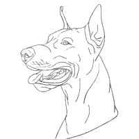 Doberman coloring pages