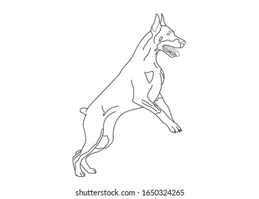 Doberman dog jumping logo coloring book stock vector royalty free