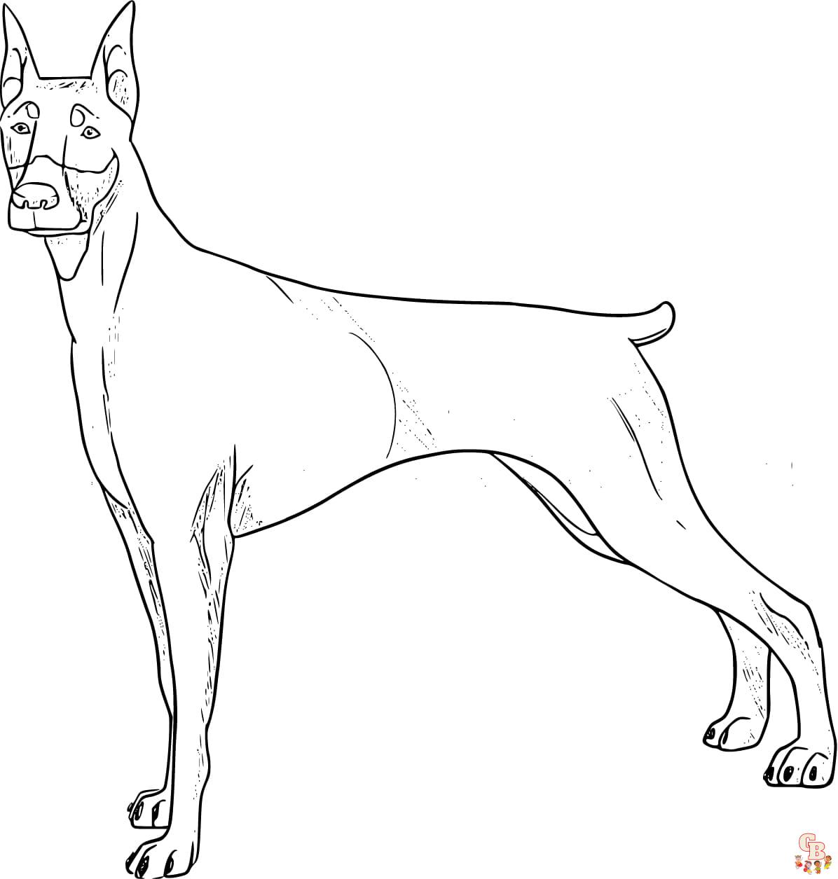 Prinatble doberman coloring pages free for kids and adults