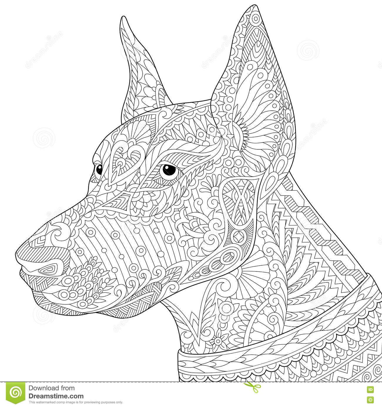 Zentangle stylized doberman pinscher dog stock vector