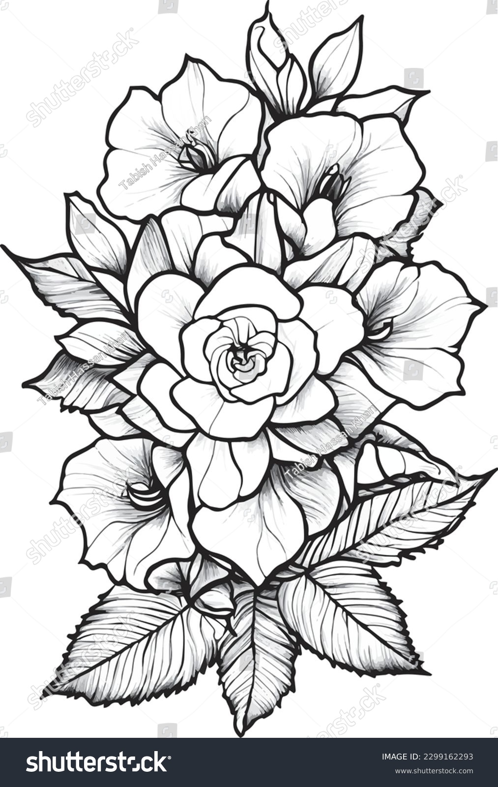 Beautiful gardenia coloring page adults photo stock vector royalty free