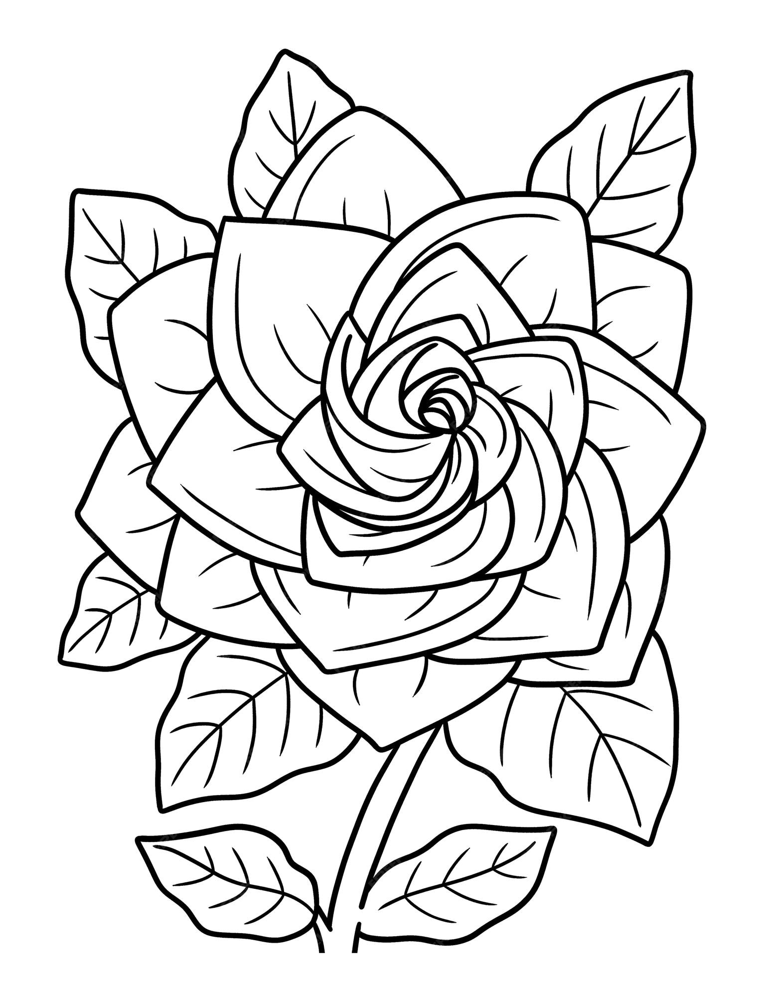 Premium vector gardenia flower coloring page for adults