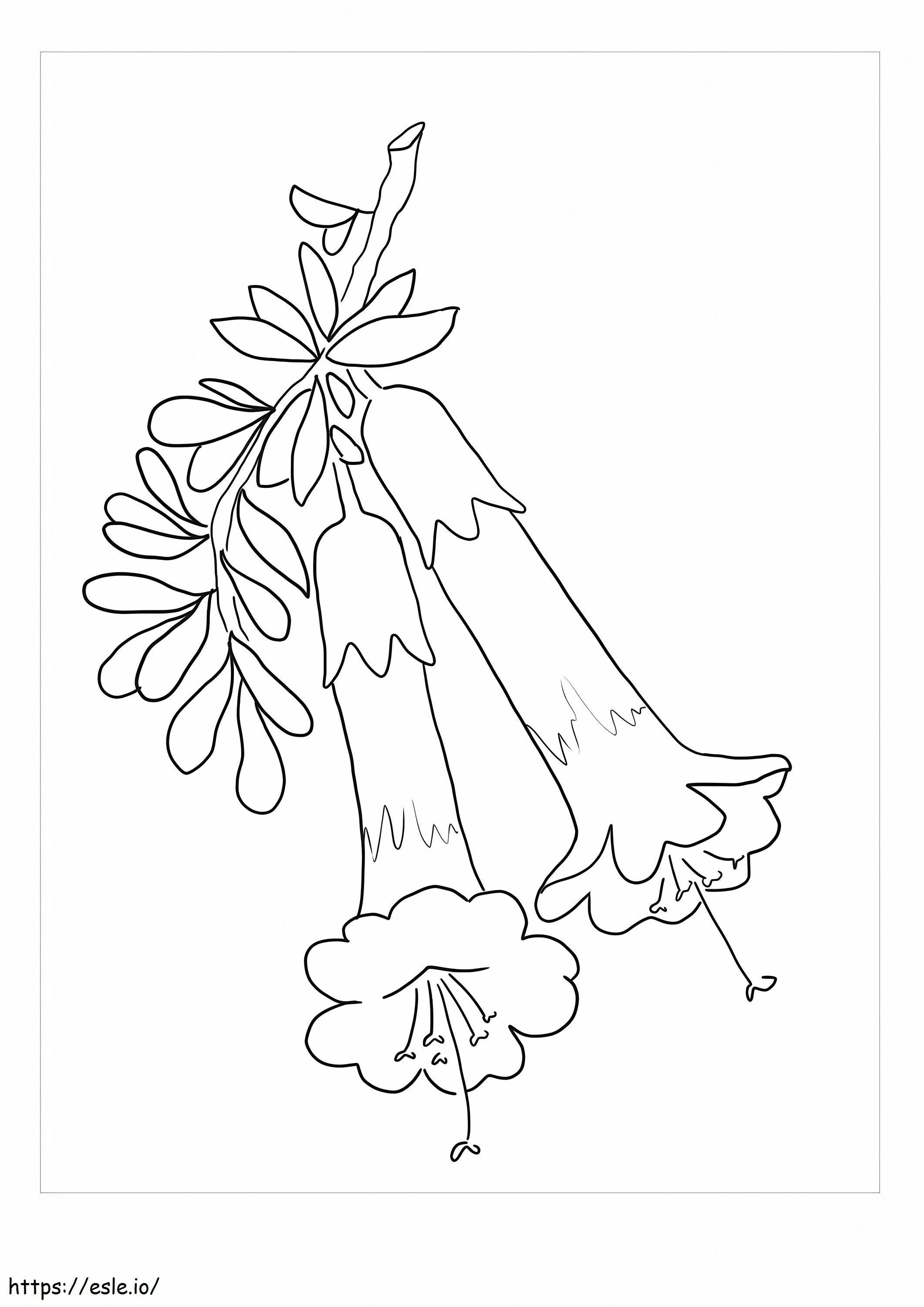 Of gardenia flowers coloring page