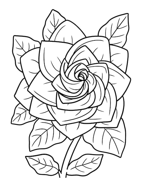 Premium vector gardenia flower coloring page for adults