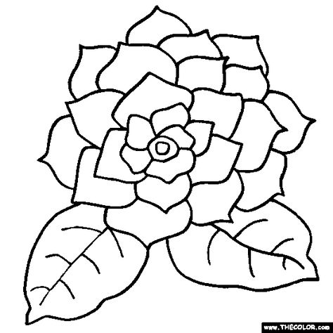 Gardenia flower online coloring page flower coloring sheets printable flower coloring pages online coloring pages