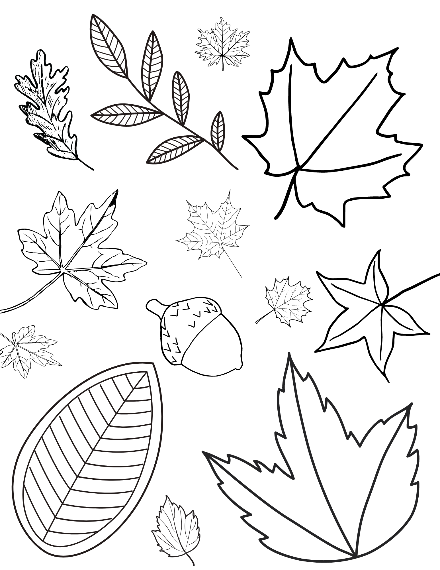 Fun fall leaves coloring pages for kids and adults