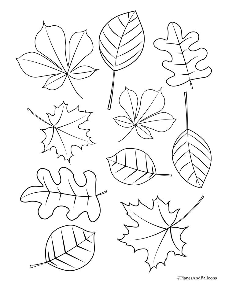 Fall coloring pages for young children free instant download fall leaves coloring pages fall coloring pages leaf coloring page