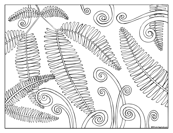 Flora and fauna coloring sheets â short leg studio