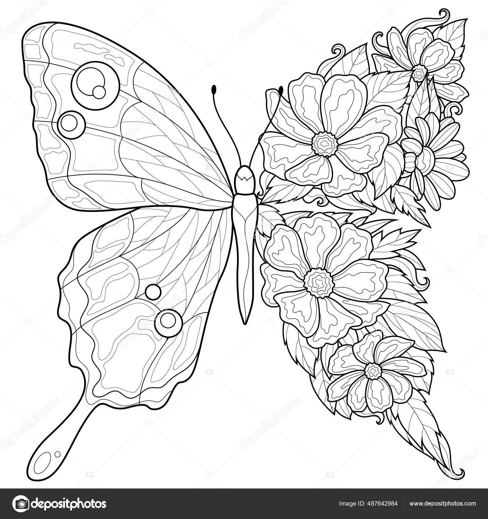 Butterfly flowers coloring book antistress children adults illustration isolated white stock vector by vlasenkoekaterinkagmail