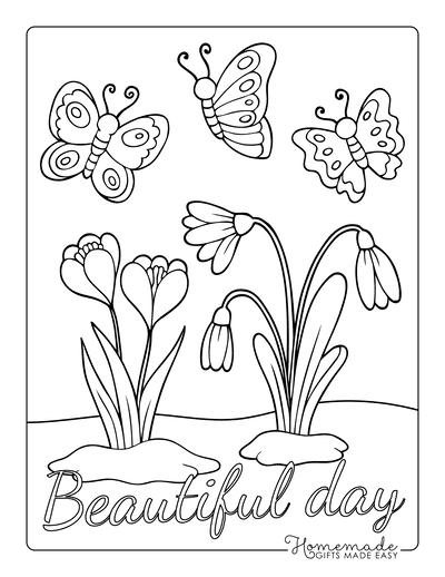 Free butterfly coloring pages for kids adults