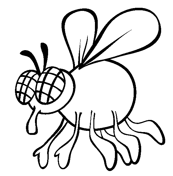 Fly coloring page