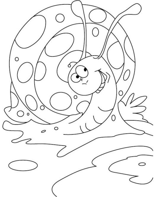 Pin on animal coloring activity page