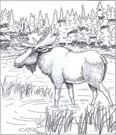 Coloring pages for men ideas coloring pages coloring books coloring pictures