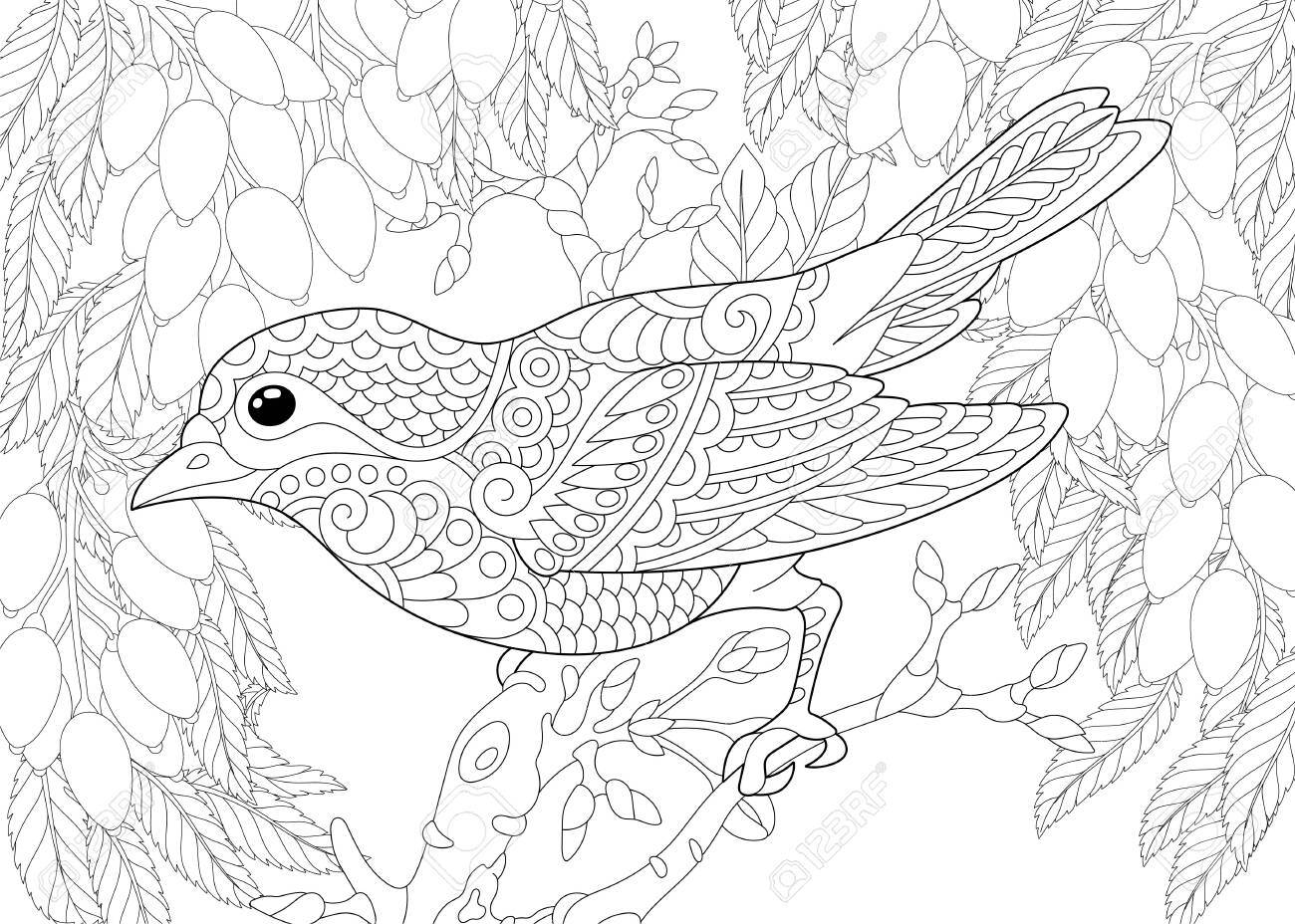 Coloring page coloring picture of beautiful bird in the garden line art design for adult colouring book with doodle royalty free svg cliparts vectors and stock illustration image