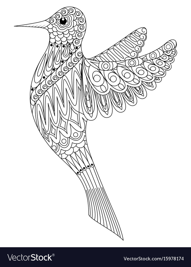 Adult coloring book a bird royalty free vector image