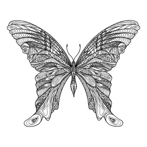 Adult coloring pages amazing butterfly