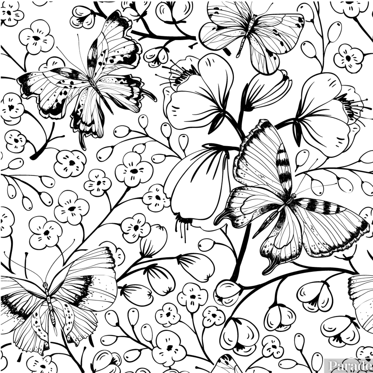 Butterfly coloring pages free printable sheets