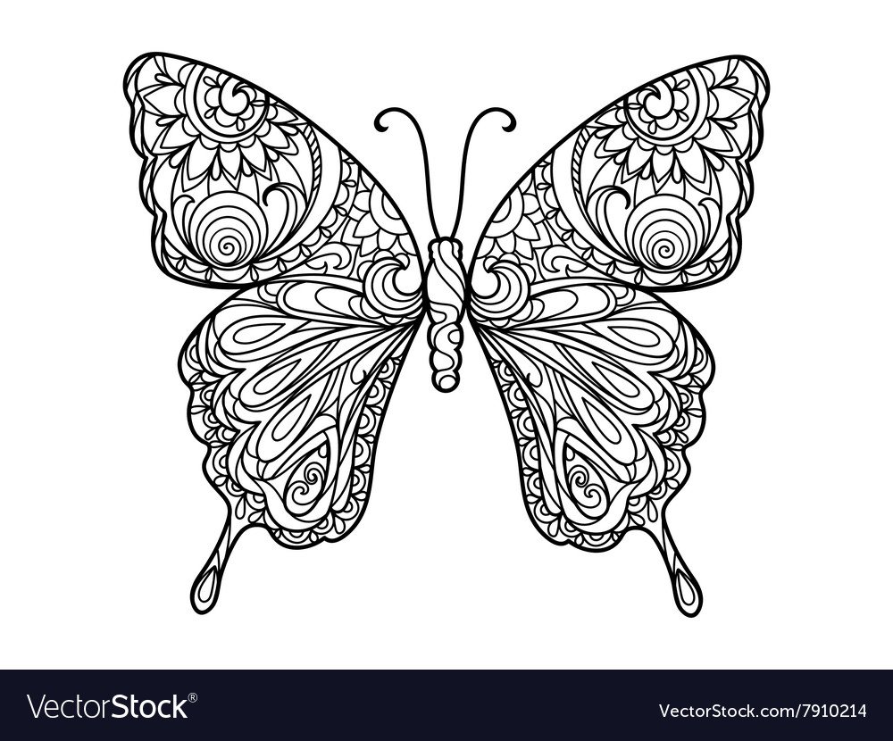 Butterfly coloring book for adults royalty free vector image