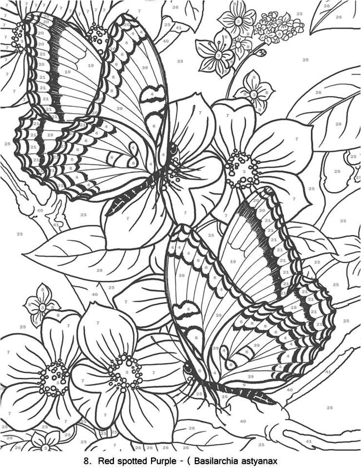 Awesome butterfly coloring pages for adults