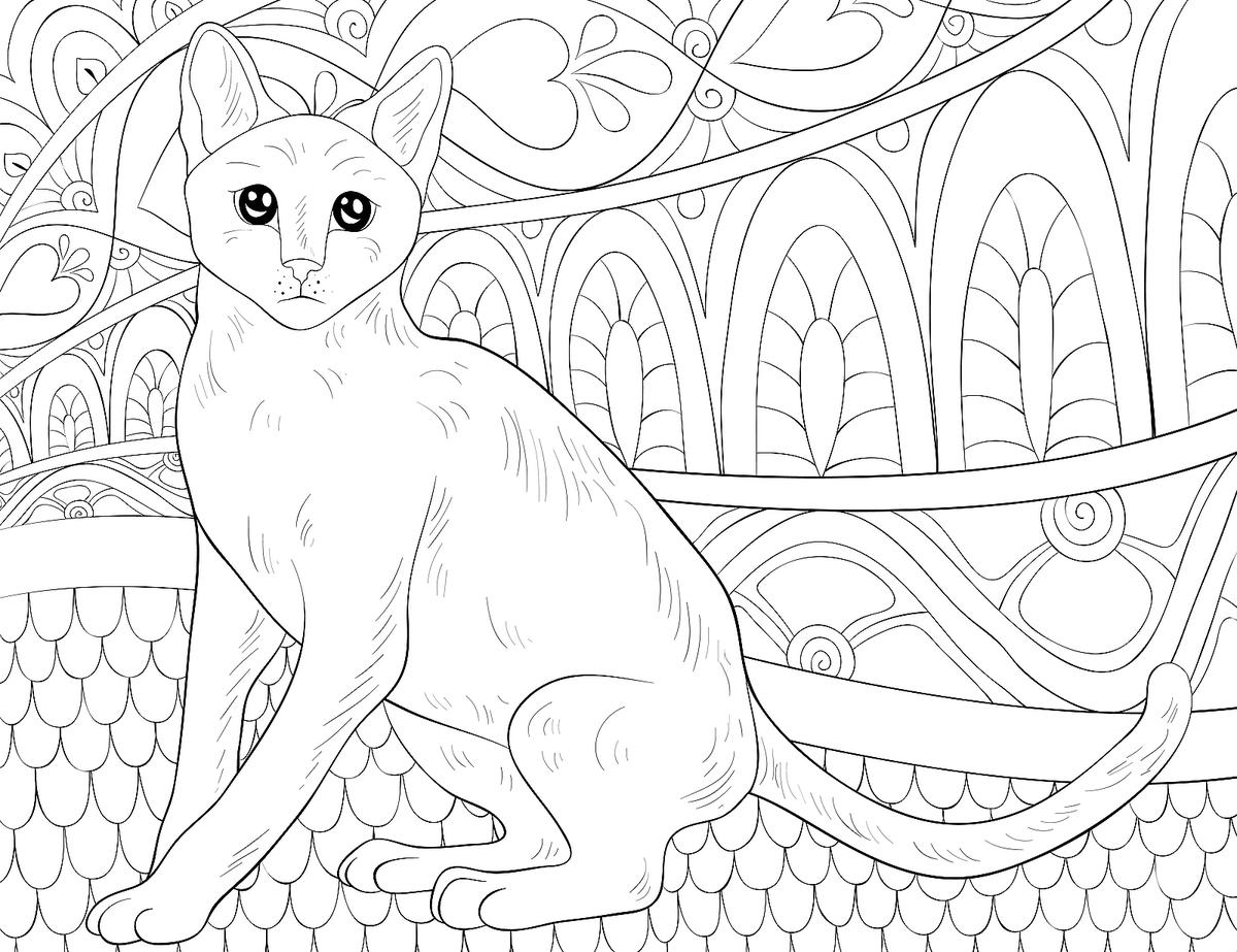 Free cat coloring pages purr