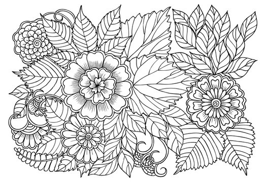 Adult coloring book images â browse photos vectors and video