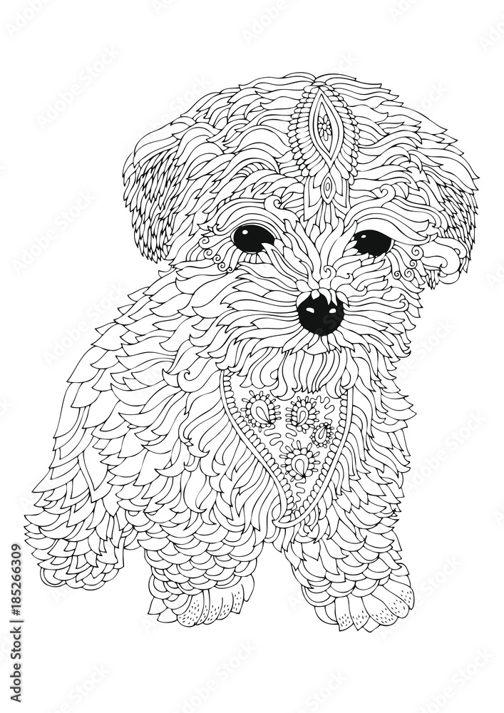 Bichon frise puppy hand drawn dog sketch for anti