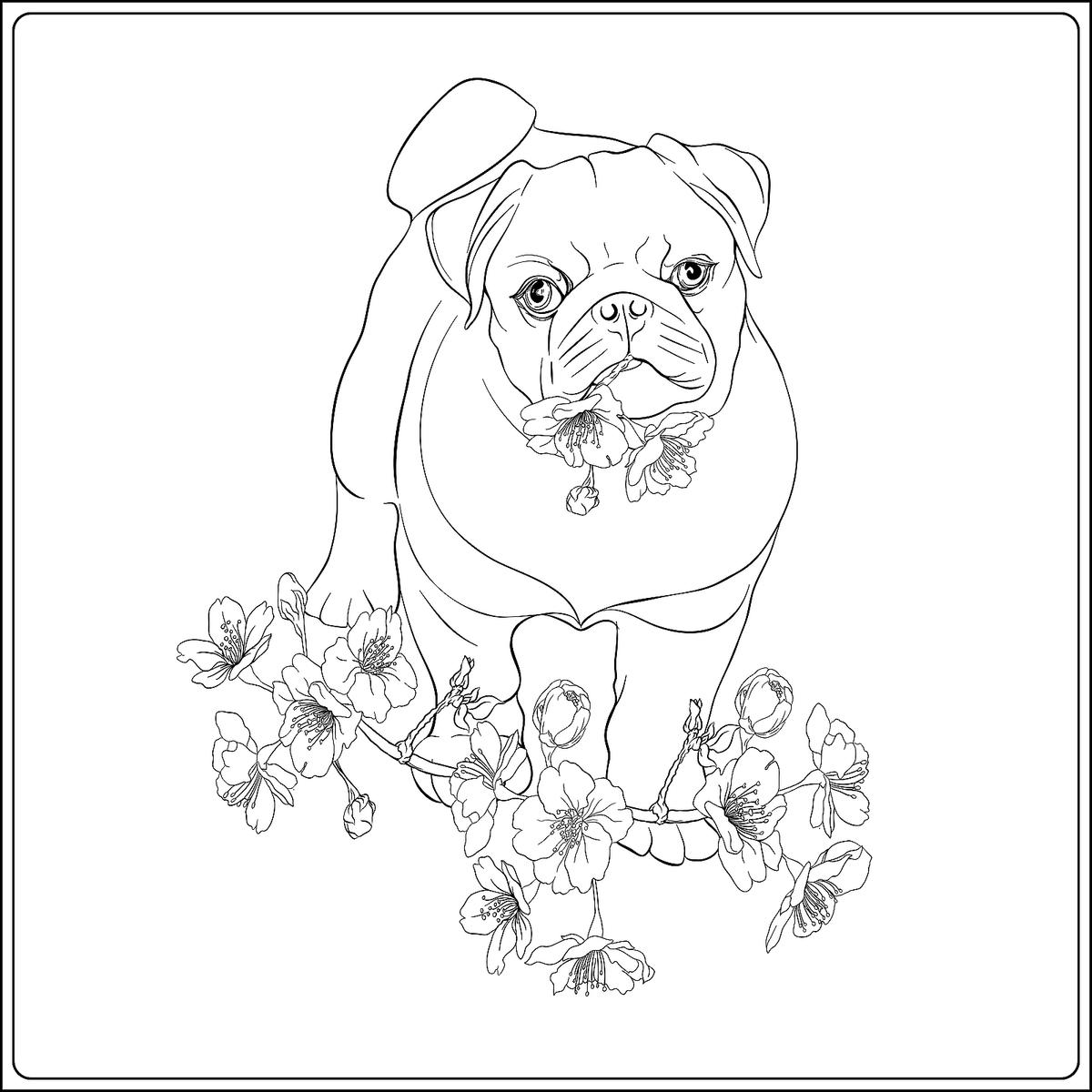 Dog coloring pages free printable coloring pages of dogs for dog lovers of all ages printables mom