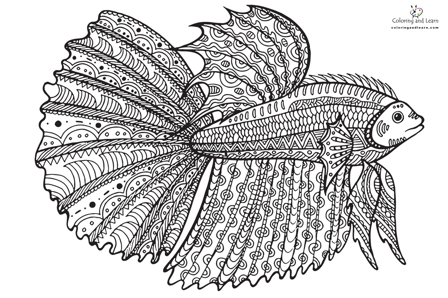 Fish coloring pages for adults