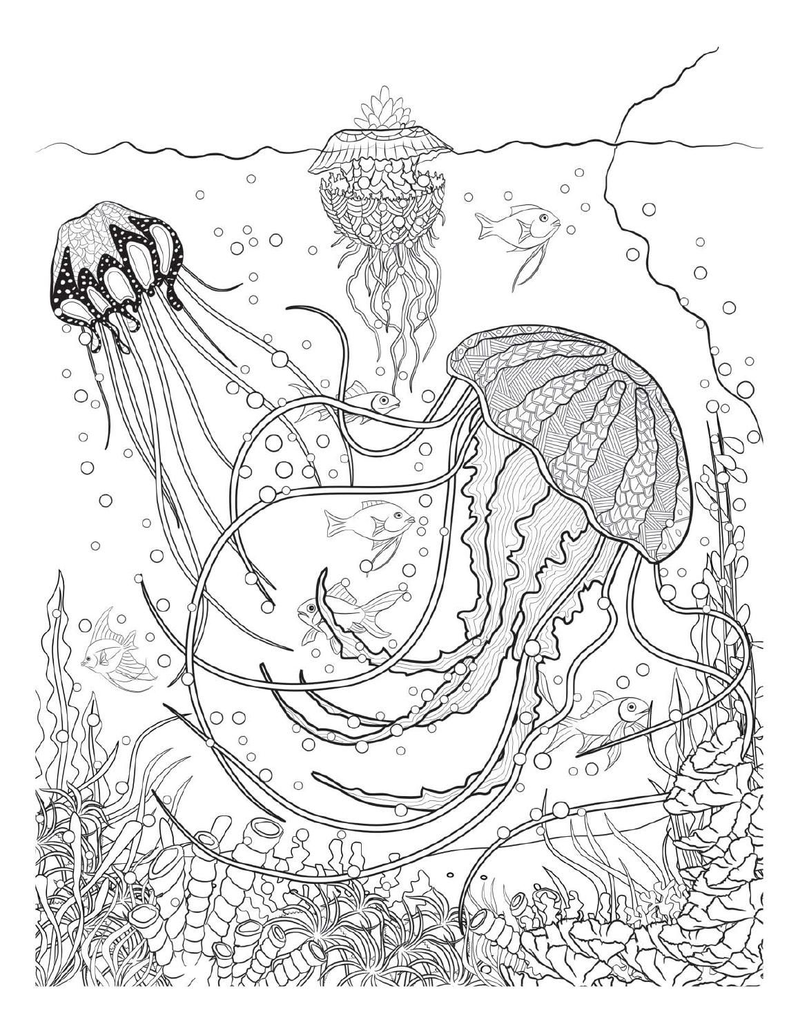 Oceana adult coloring pages coloring books animal coloring pages