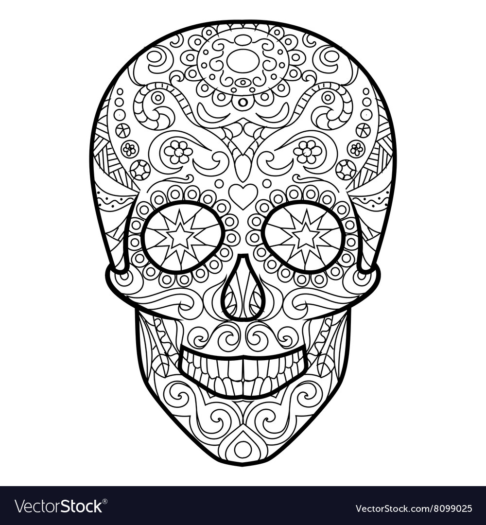 Skull coloring book for adults royalty free vector image