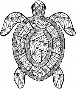 Detailed sea turtle advanced coloring page turtle coloring pages summer coloring pages easy coloring pages