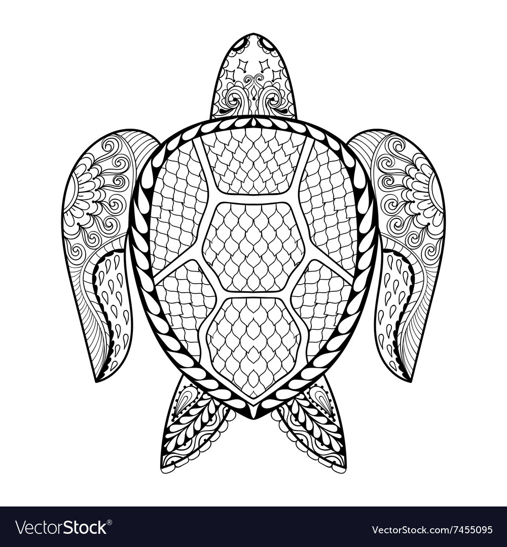 Hand drawn sea turtle for adult coloring pages vector image