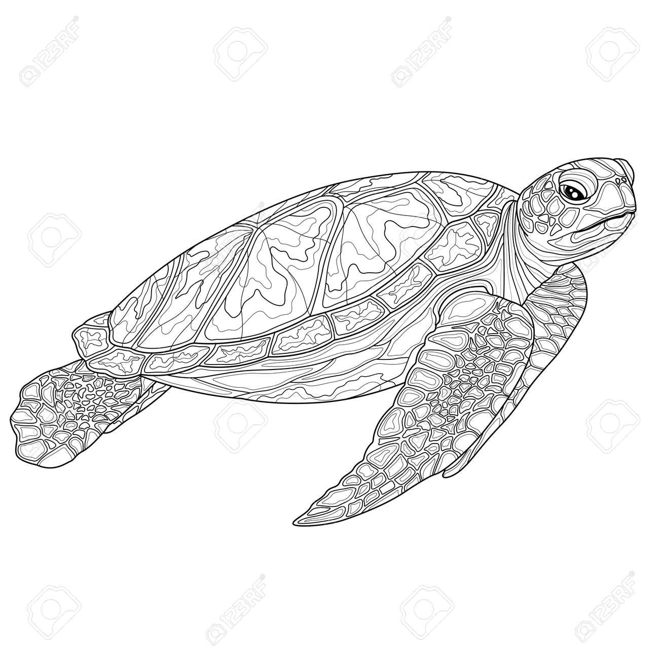 Sea turtlecoloring book antistress for children and adults illustration isolated on white backgroundzen