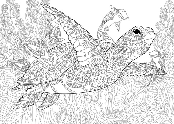 Adult coloring pages turtles images stock photos d objects vectors