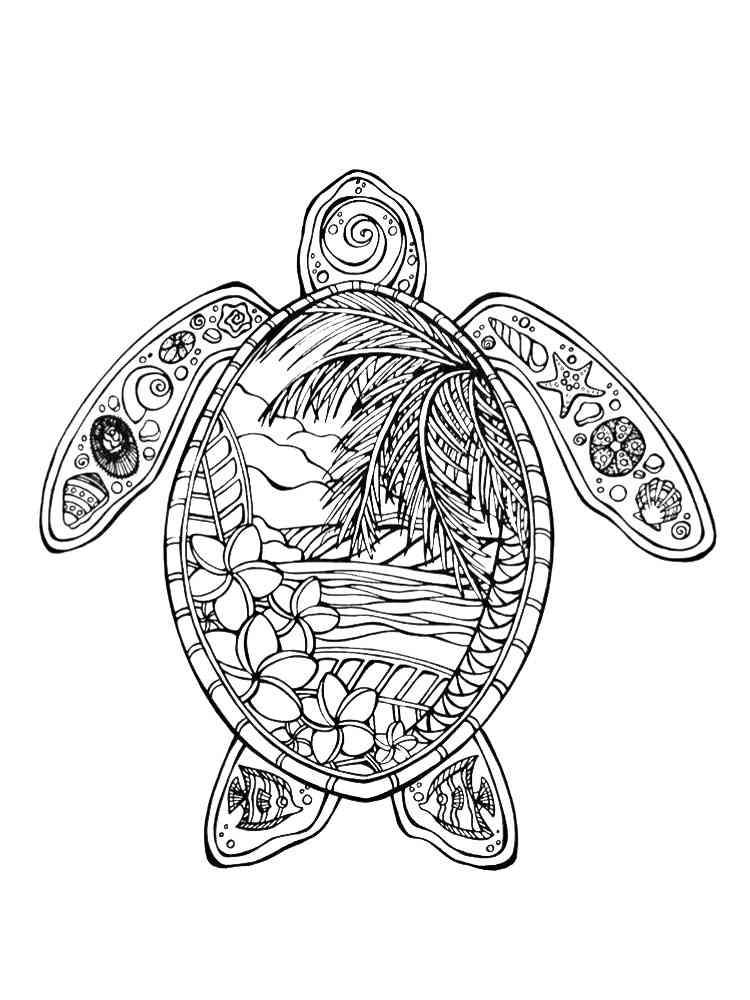 Turtle coloring pages for adults