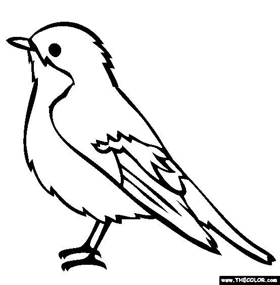 Bird online coloring pages page bird coloring pages bird drawings bird outline