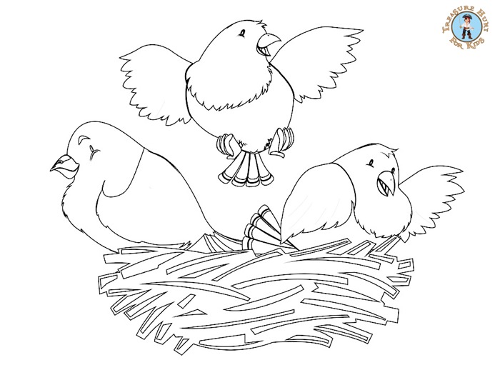 Bird coloring page