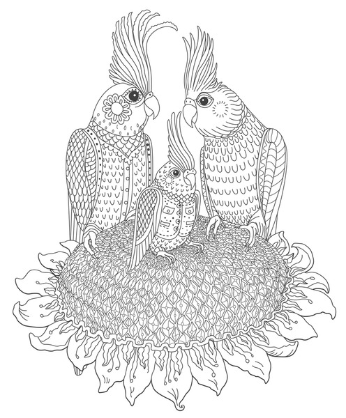 Thousand coloring pages bird adults royalty