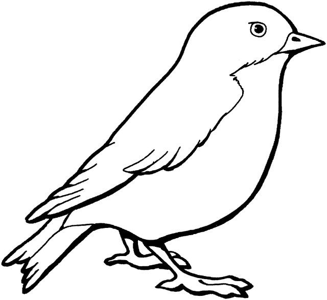 Best image of bird coloring page