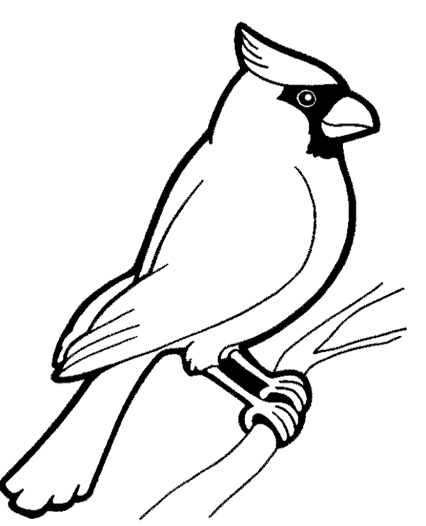 Free bird coloring page for kids