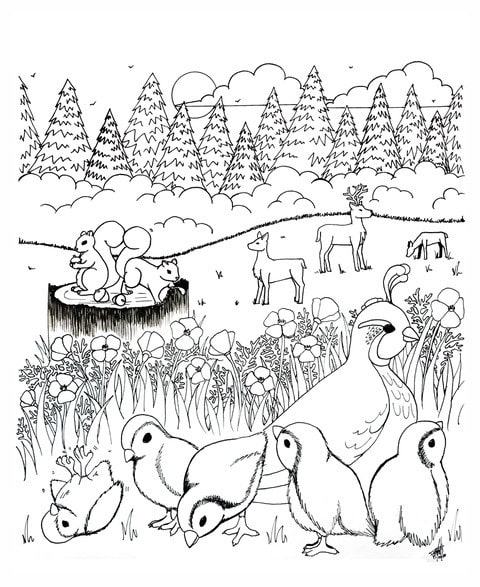 February coloring page