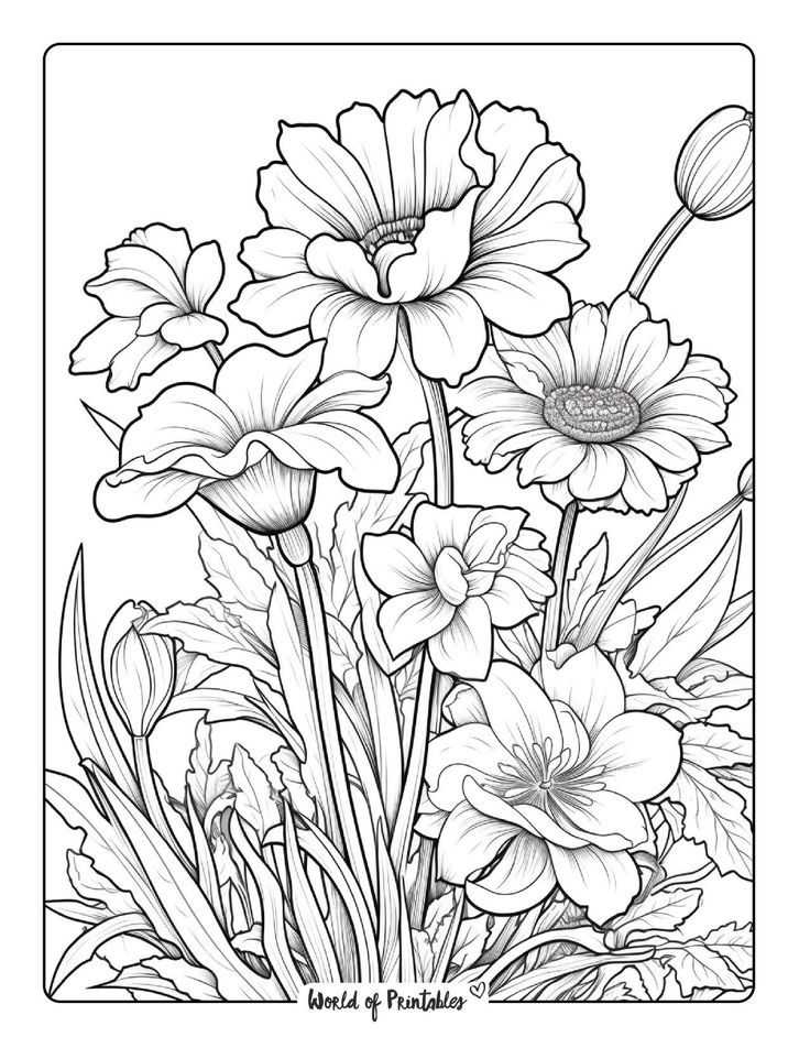 Flower coloring sheets free printable flower coloring sheets printable flower coloring pages sunflower coloring pages