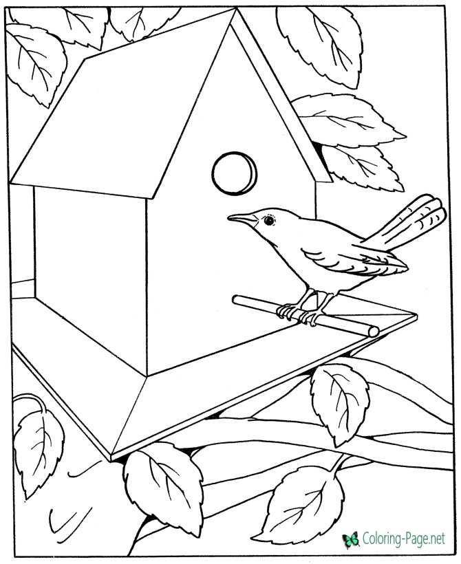 House coloring pages